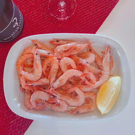 Gamba do Algarve